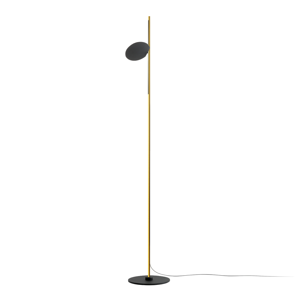 Kimia Floor light