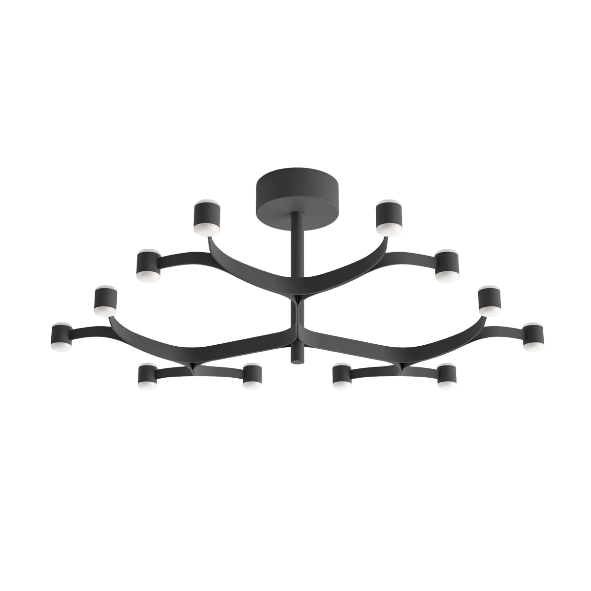 Fronda Ceiling light