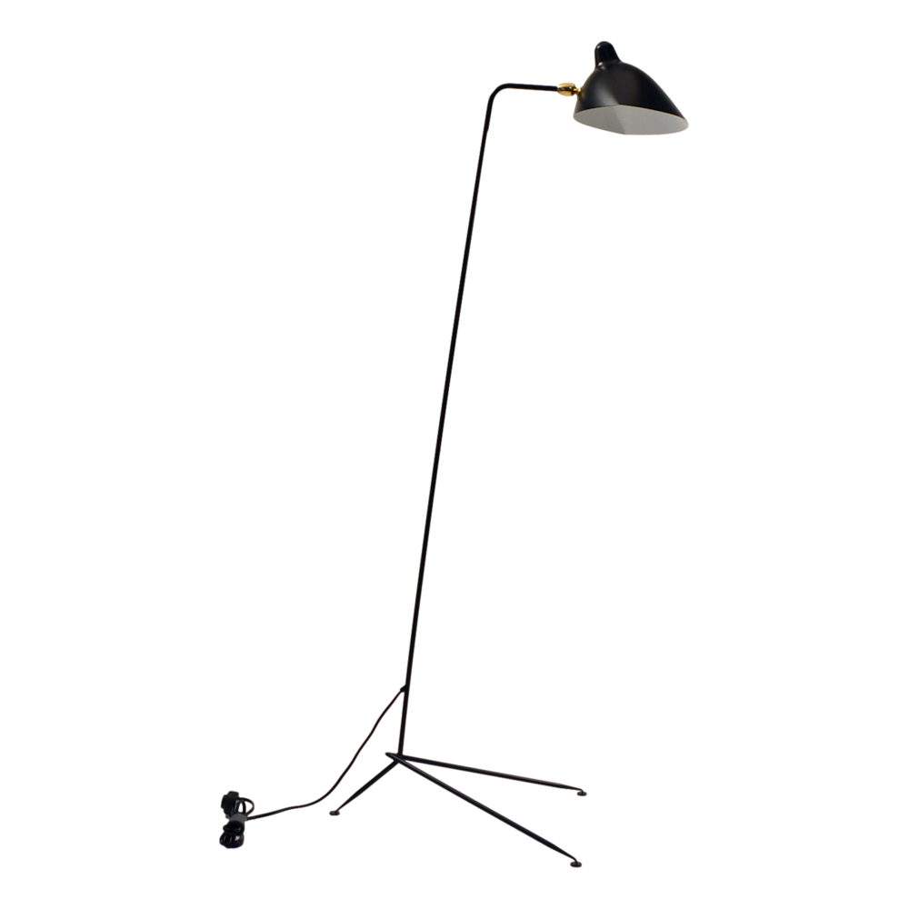 1 arm standing lamp