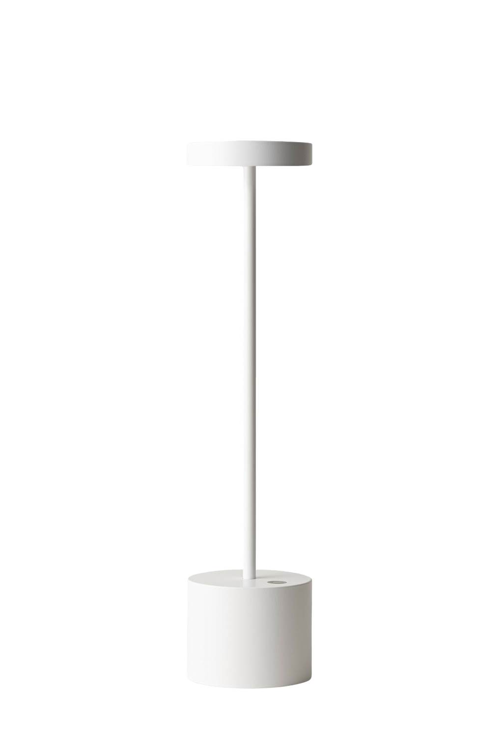Luxciole Tall