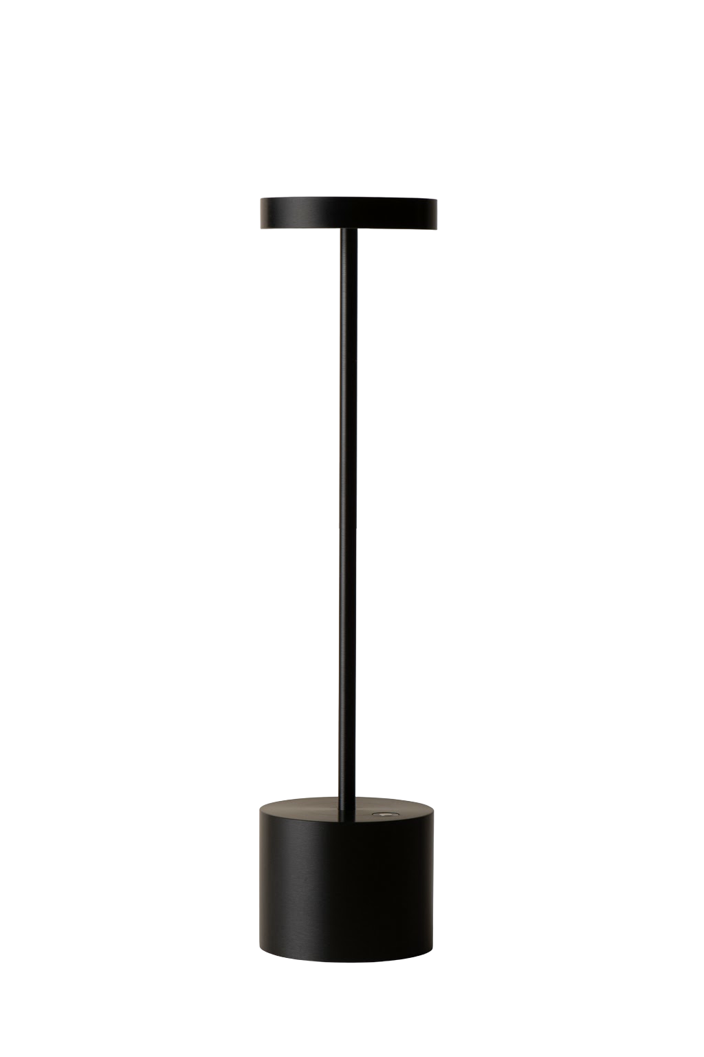 Luxciole Tall