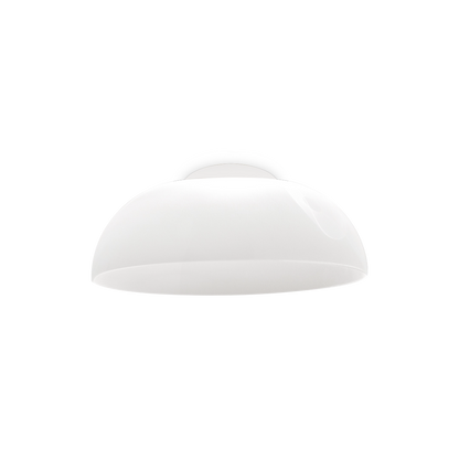 Demi Wall/Ceiling light