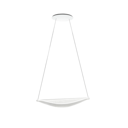 Diphy suspension light - 1 source