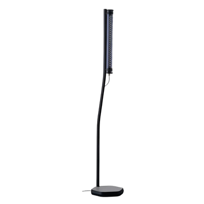 Bodom floor light