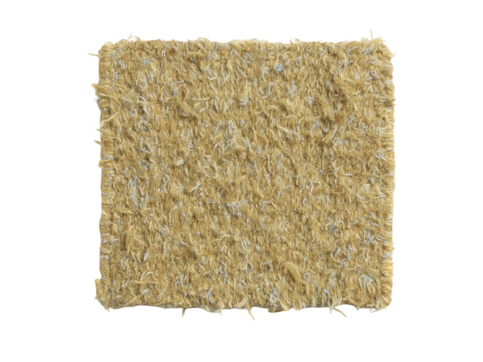 Erbe