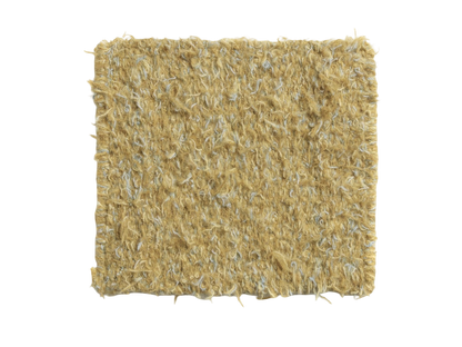 Erbe