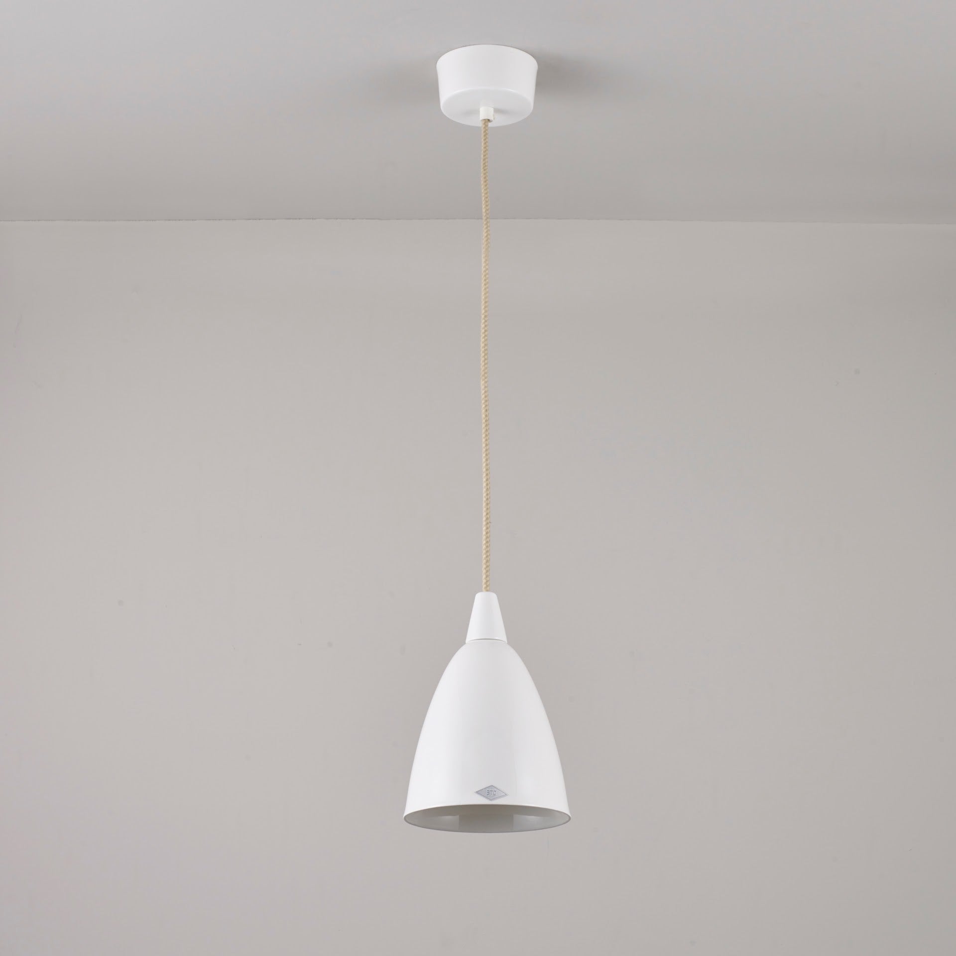 Hector 2 pendant light