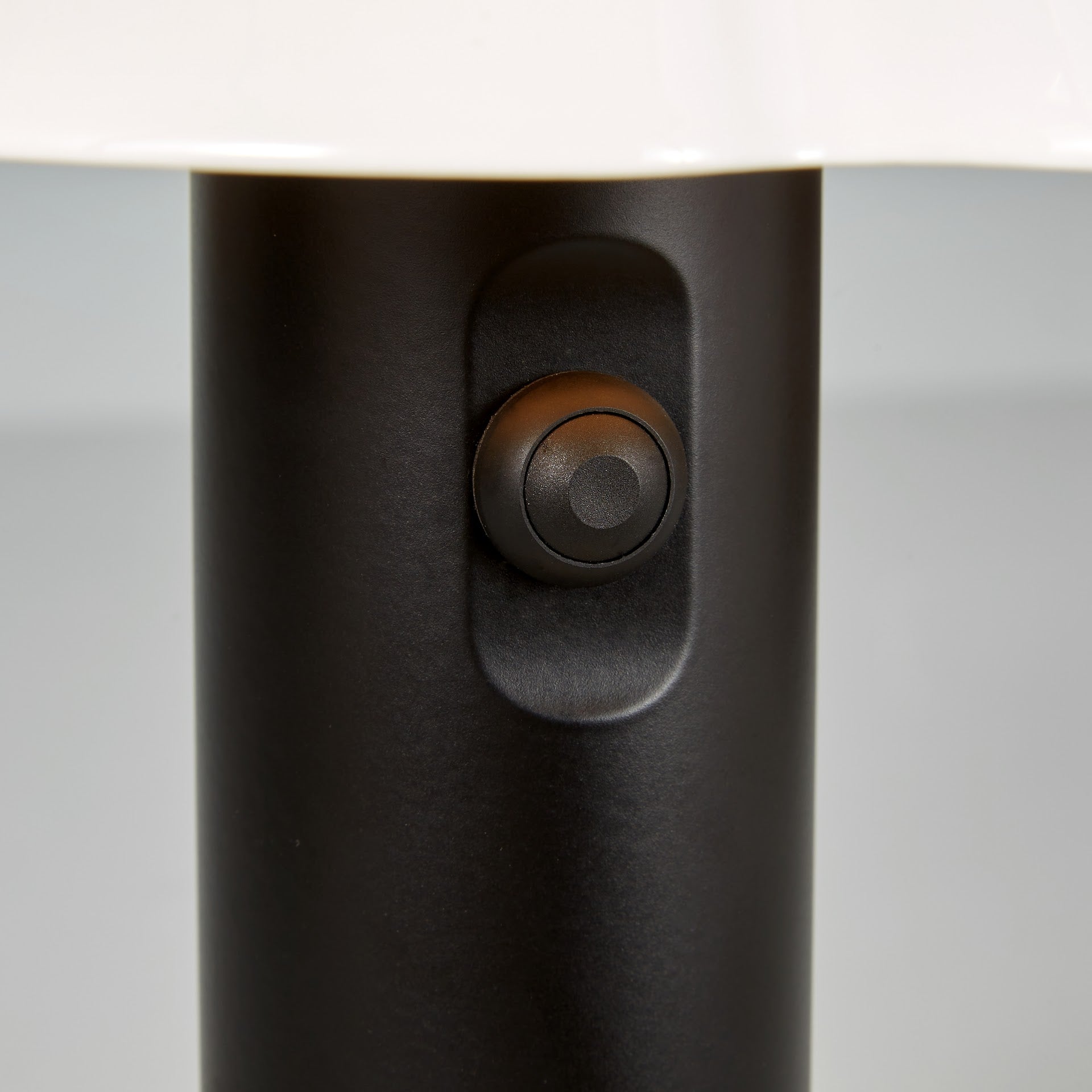 Blossom portable light