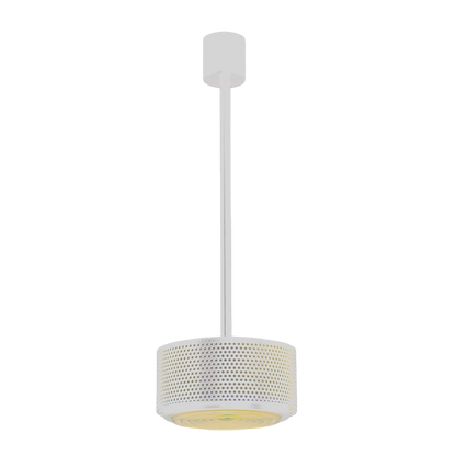 G13A pendant light