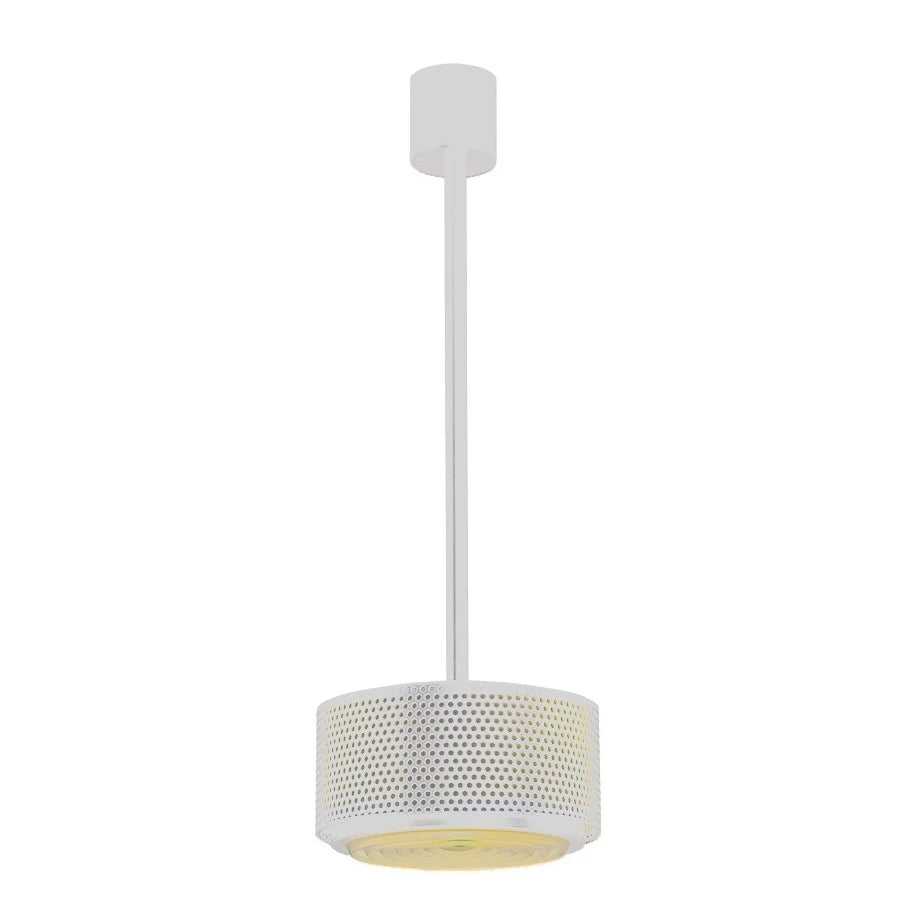 G13A pendant light