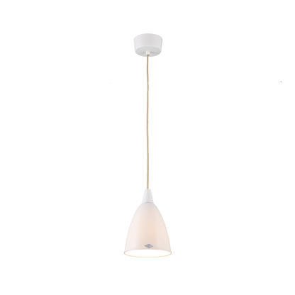 Hector 2 pendant light