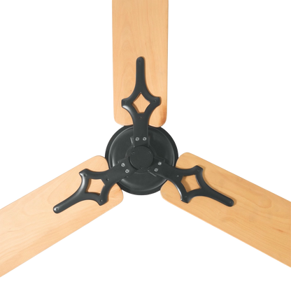 Jaipur Black Wood