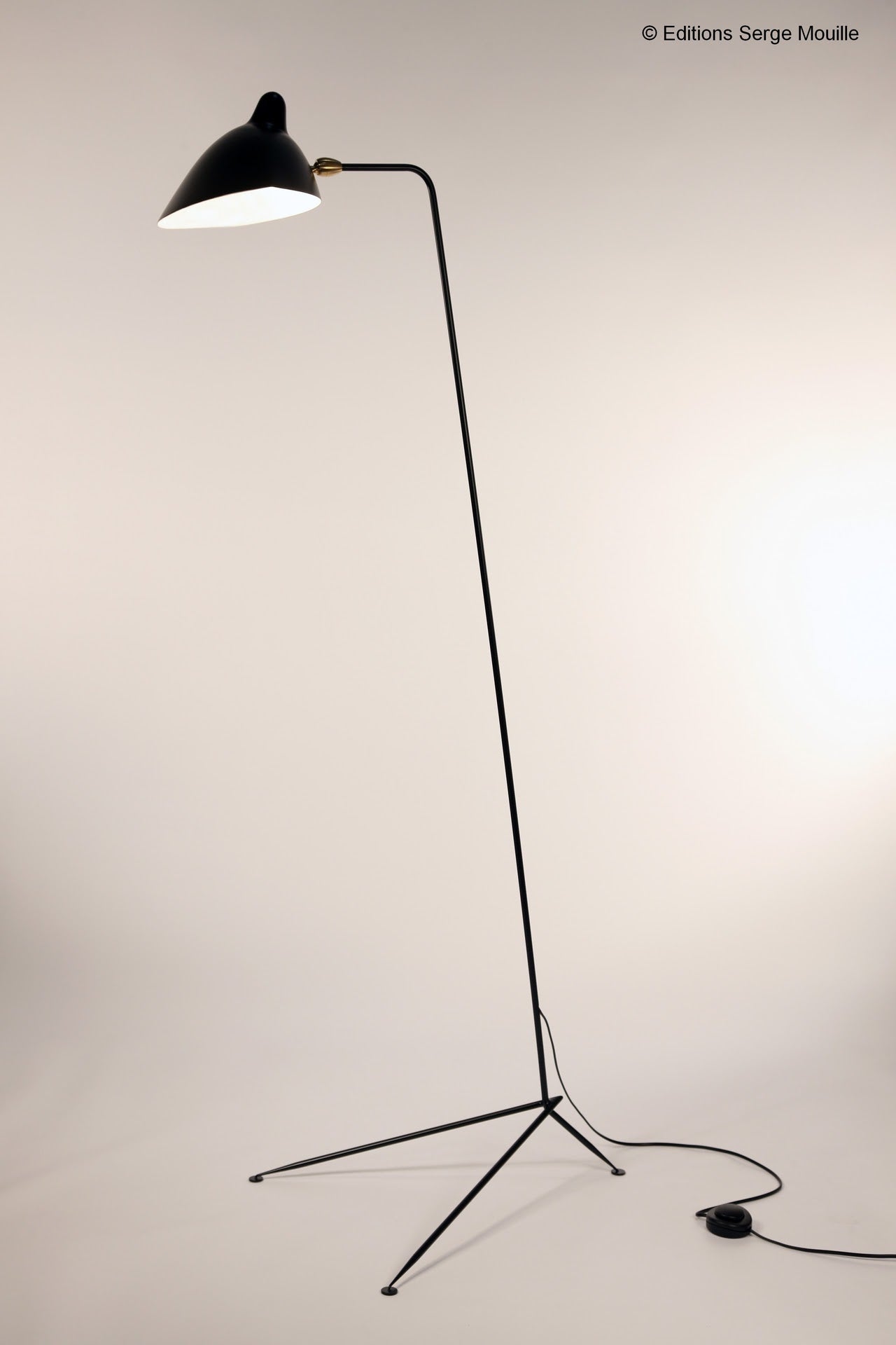 1 arm standing lamp