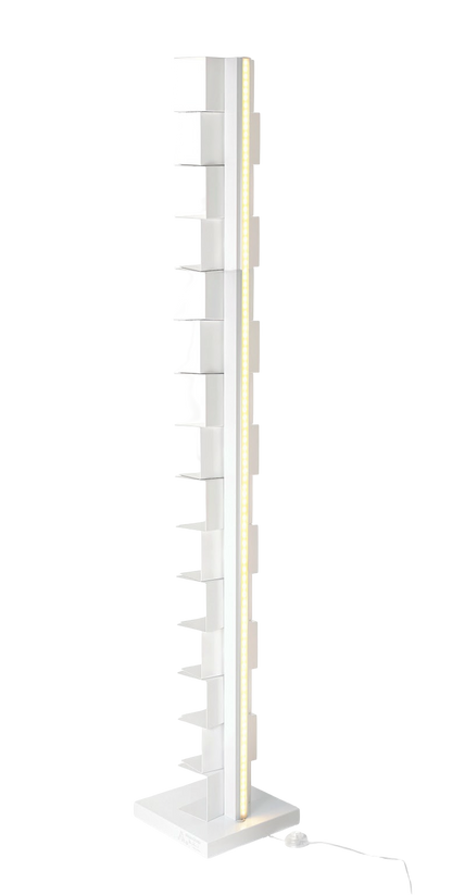 Ptolomeo Luce