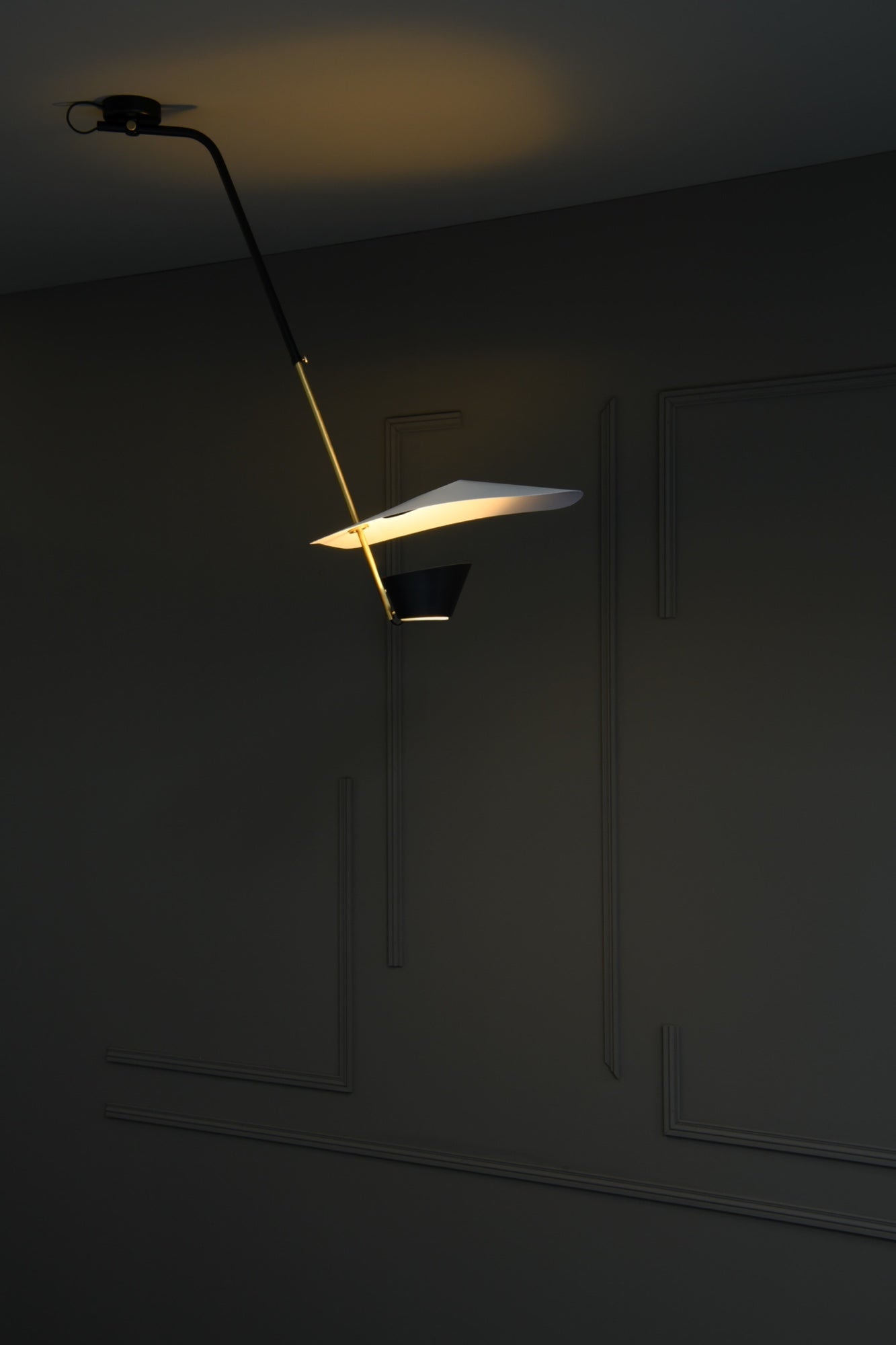 G25 pendant light