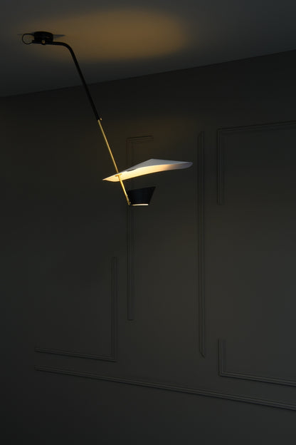 G25 pendant light