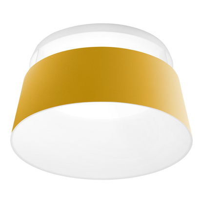 Oxygen Ceiling light