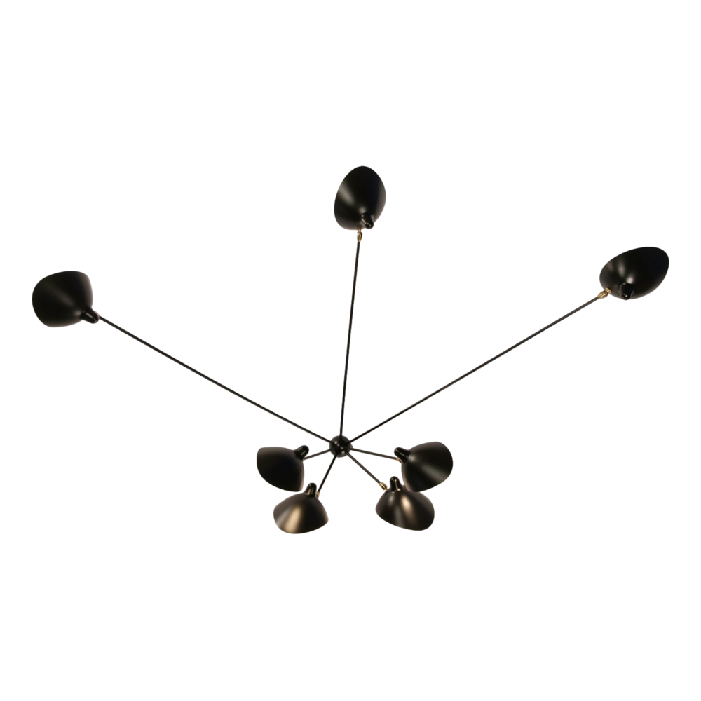 7 fixed arm "Spider" wall lamp