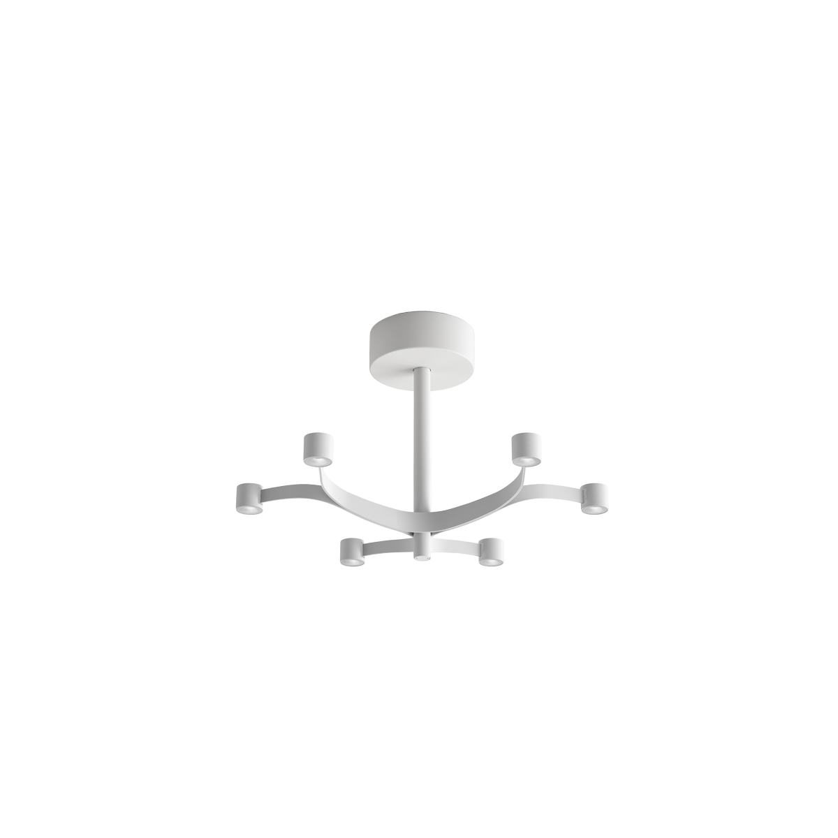 Fronda Ceiling light