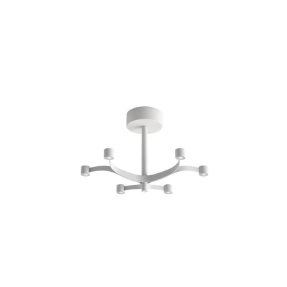 Fronda Ceiling light