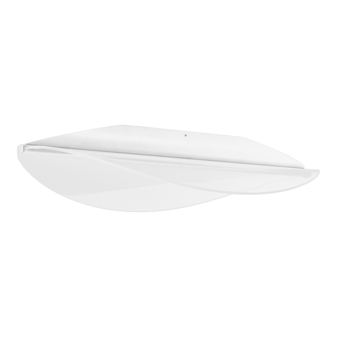 Diphy Wall/Ceiling light