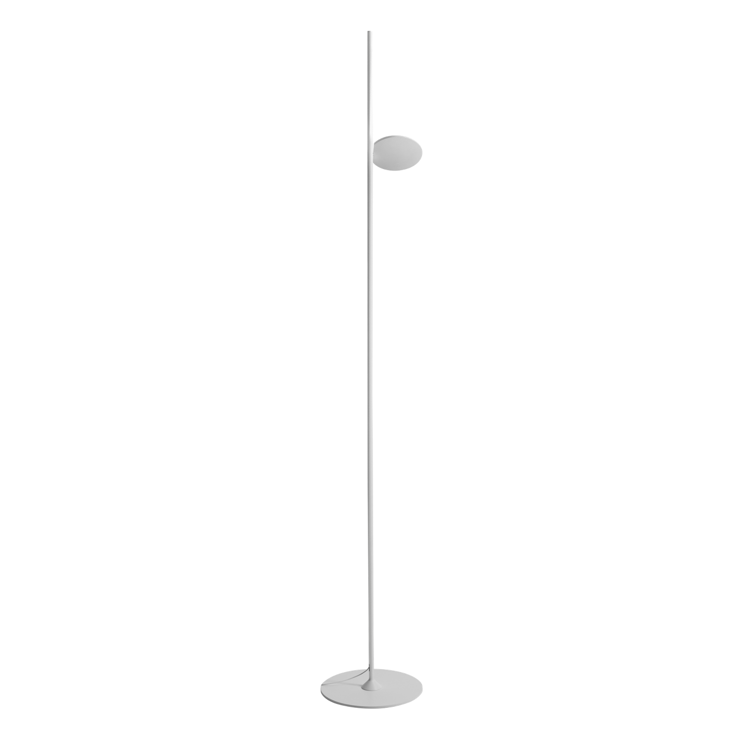 Kimia Floor light